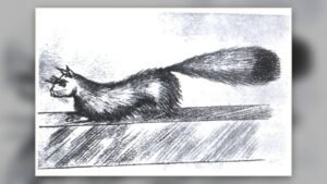 1936 sketch of Gef the talking mongoose from The Haunting of Cashen’s Gap